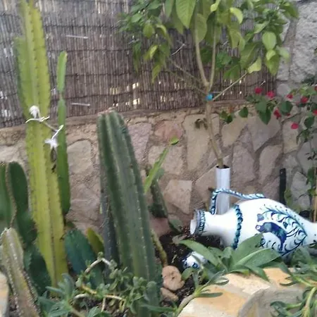 Cactus House,2 Bedrooms,swimming Pool,parking,few Steps To Beach,wifi * دينايا