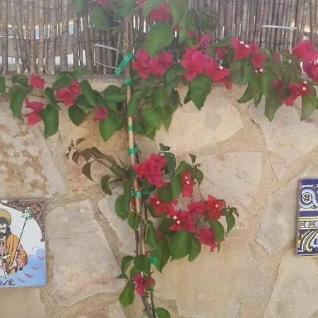 Cactus House,2 Bedrooms,swimming Pool,parking,few Steps To Beach,wifi بيت للعطل دينايا